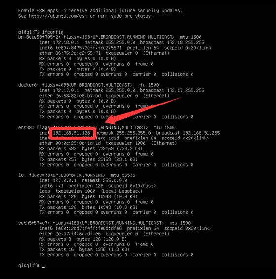 查找 IP 地址示意图