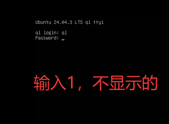 输入密码 1 示意图